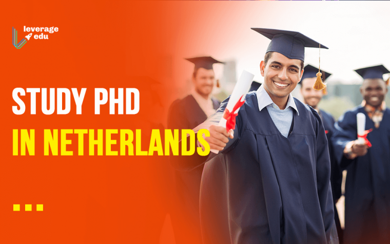 phd business administration netherlands