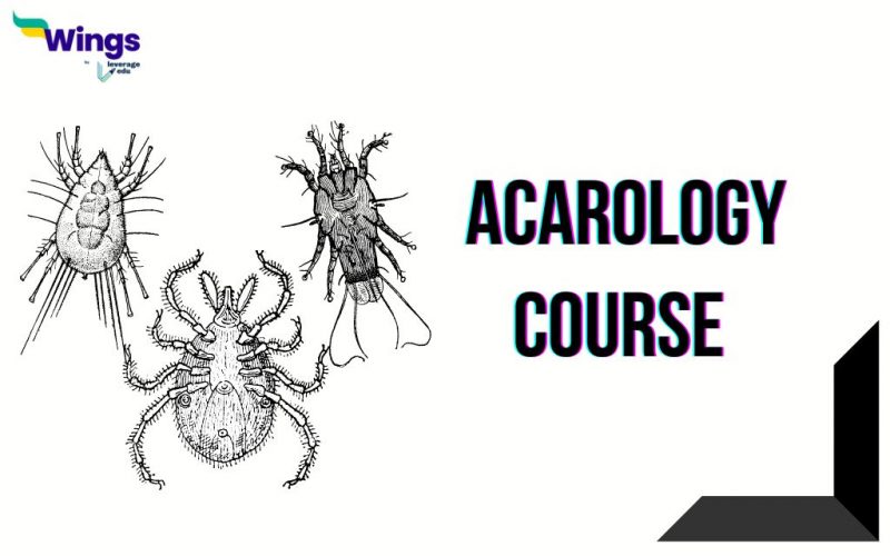 Acarology