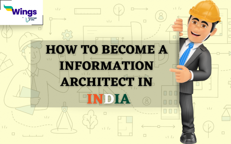 information architect