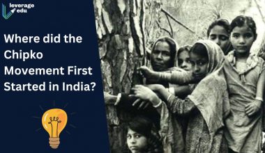 Chipko Movement First Started