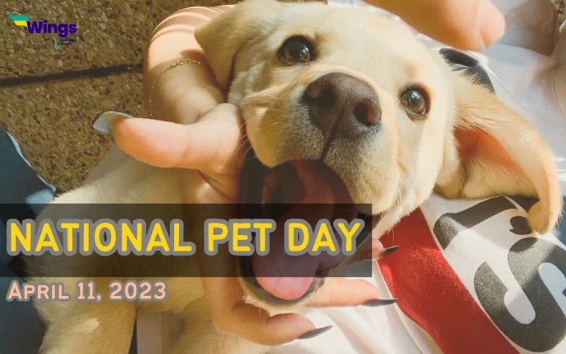 National Pet Day 2023