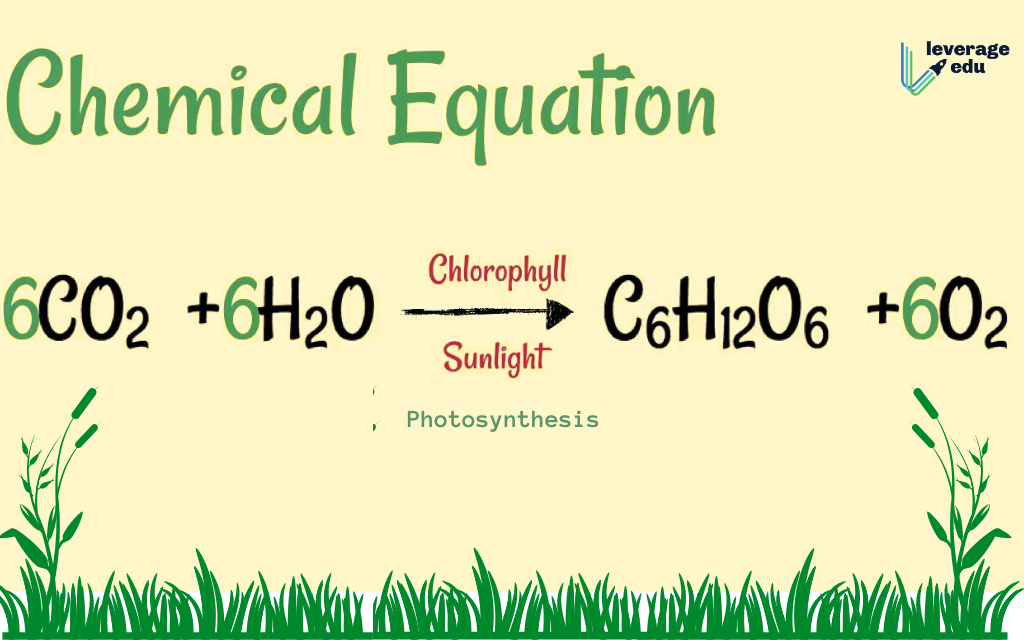 Chemical Equation of Photosynthesis