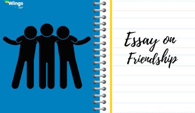 essay on friendship