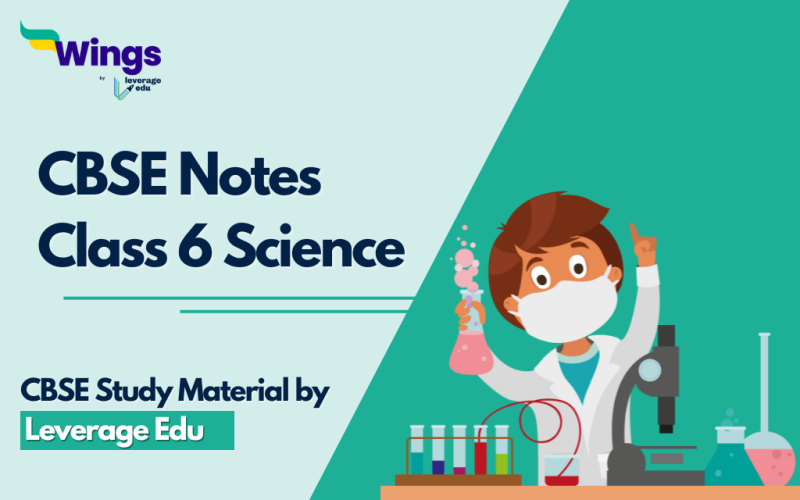 CBSE Notes Class 6 Science
