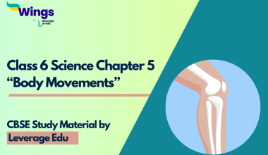 Class 6 Chapter 5 Science