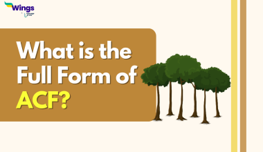 What is the Full Form of ACF?
