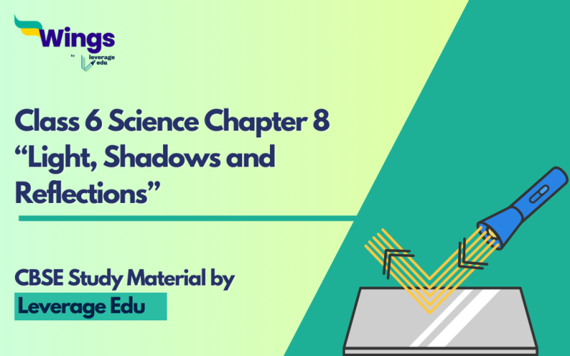 Class 6 Chapter 8 Science