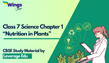 Class 7 Chapter 1 Nutrition in Plants