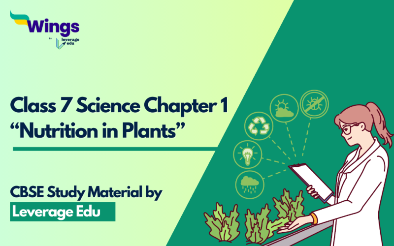 Class 7 Chapter 1 Nutrition in Plants