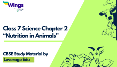 Class 7 Chapter 2 Nutrition in Animals