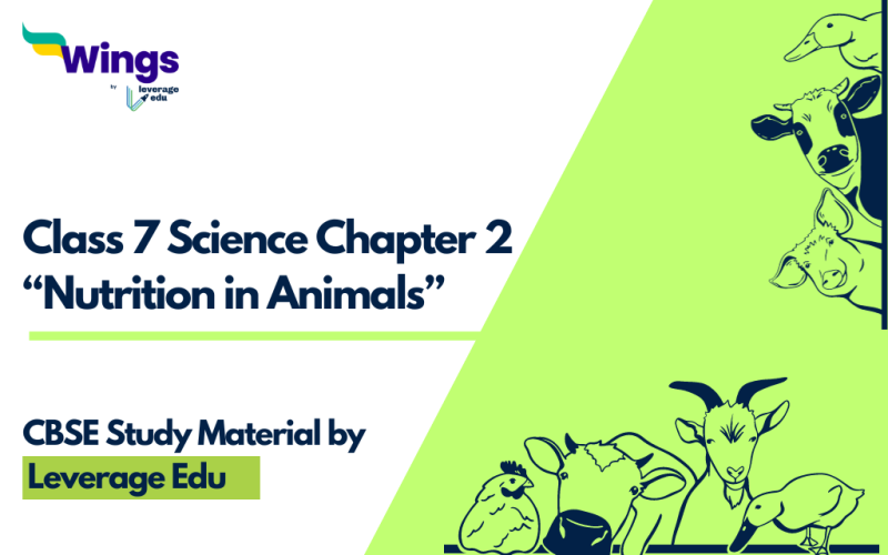 Class 7 Chapter 2 Nutrition in Animals