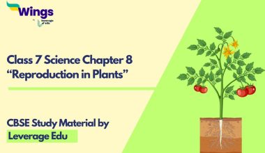 NCERT Class 7 Science Chapter 8: Reproduction in Plants