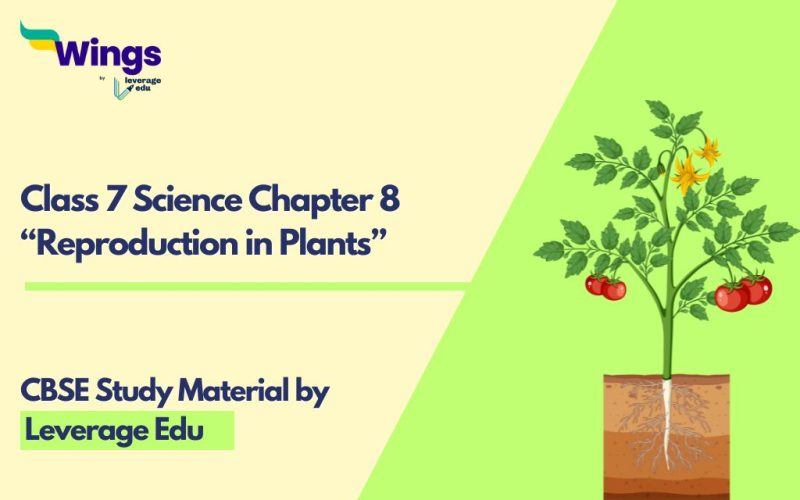 NCERT Class 7 Science Chapter 8: Reproduction in Plants