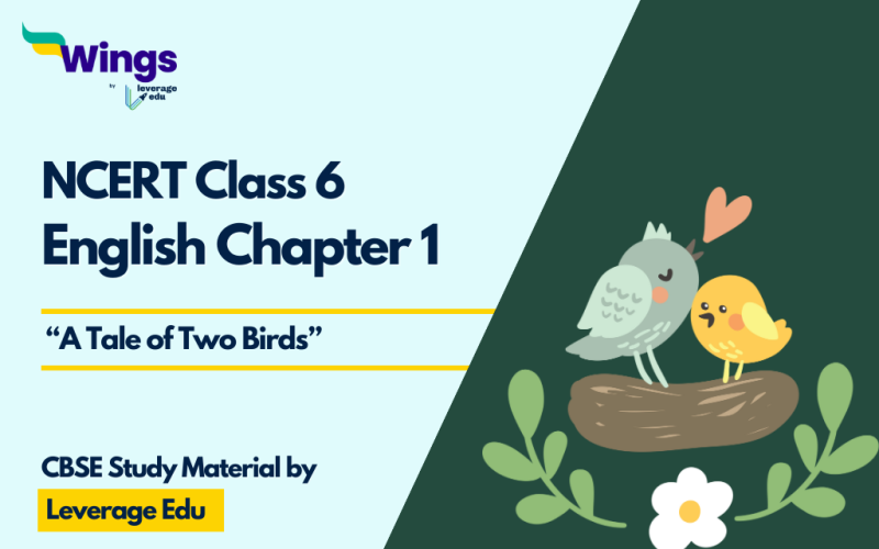 English Class 6 A Tale of Two Birds