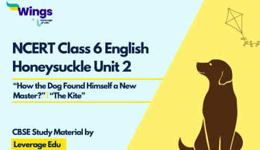 English Class 6 Chapter 2