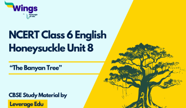 English Class 6 Chapter 8