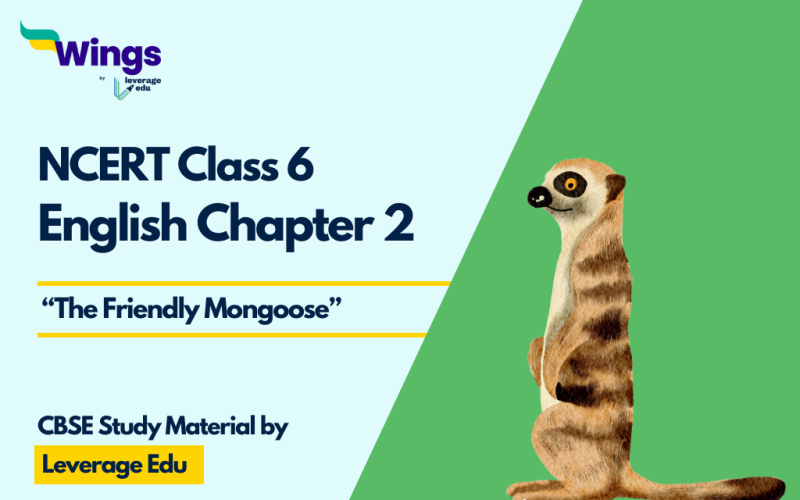 English Class 6 The Friendly Mongoose