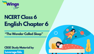 English Class 6 “The Wonder Called Sleep”