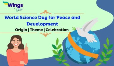 world day for peace and development