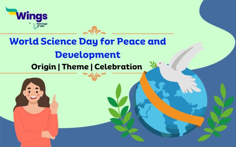 world day for peace and development