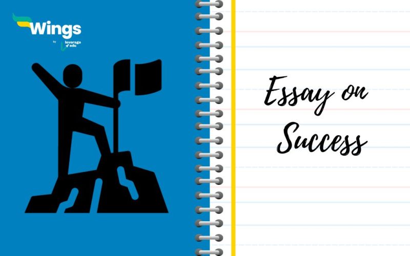 Essay on Success