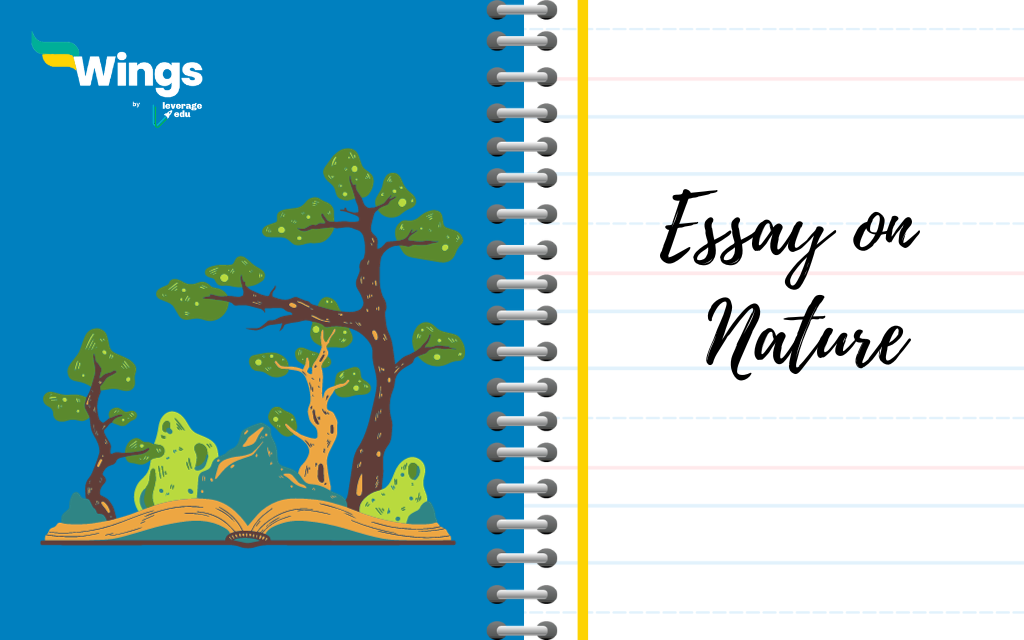 essay about nature 200 words