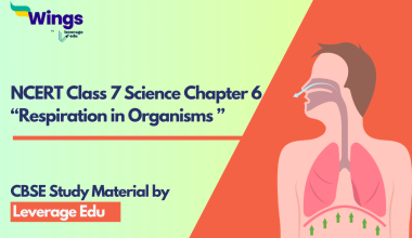 NCERT Class 7 Science Chapter 6 Respiration in Organisms