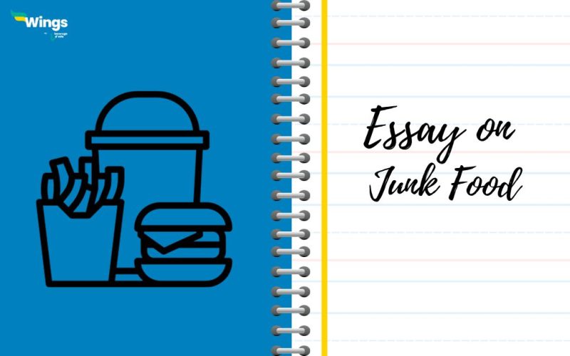Essay on junk food
