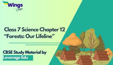 Class 7 Science Chapter 12: Forests