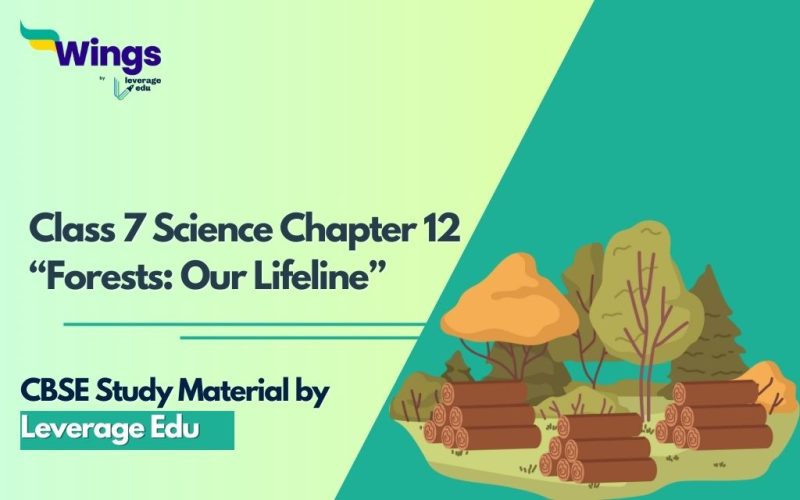 Class 7 Science Chapter 12: Forests