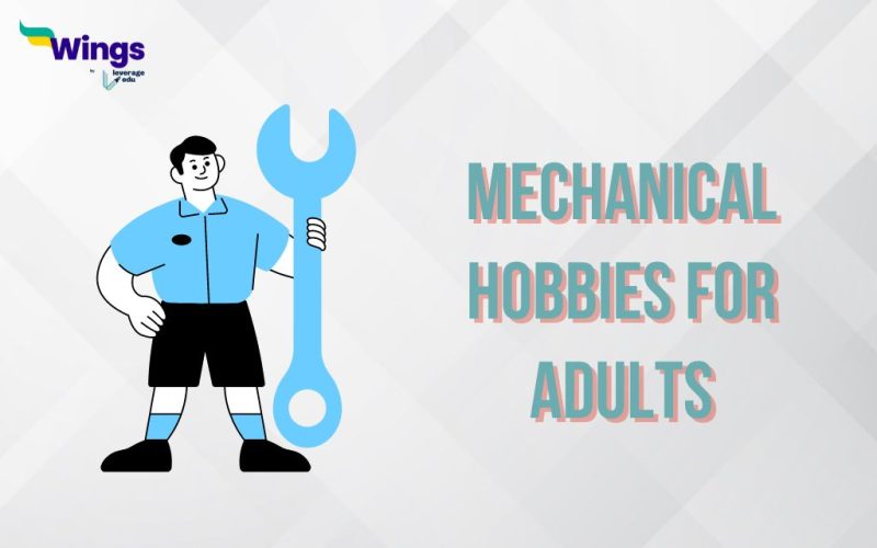 Mechanical Hobbies for Adults