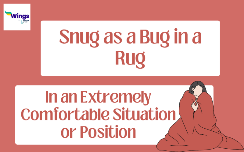 Snug as a bug in a rug