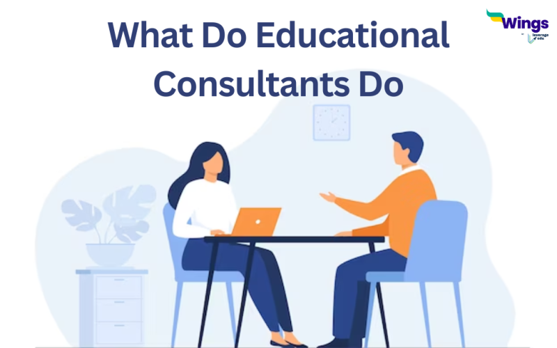What Do Educational Consultants Do