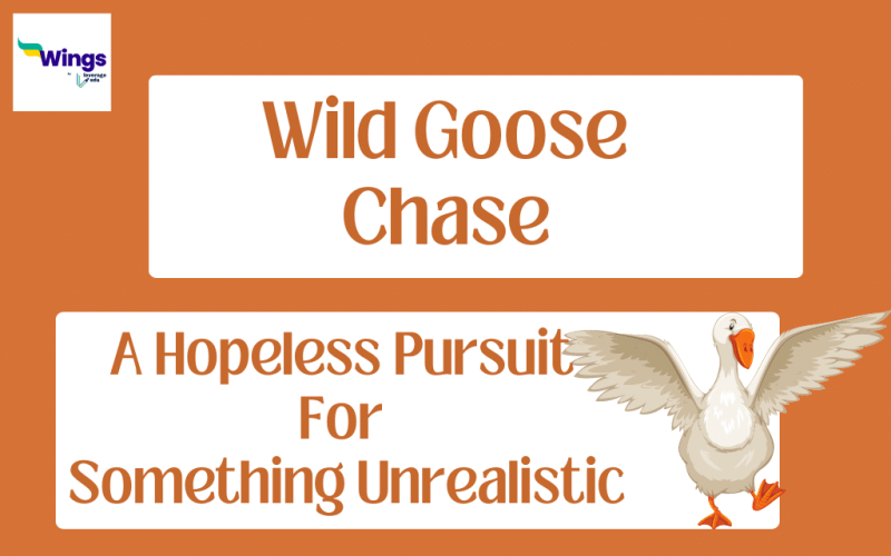 Wild Goose Chase Meaning