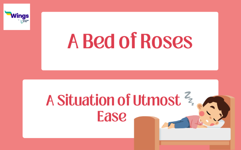 A-Bed-of-Roses-Meaning