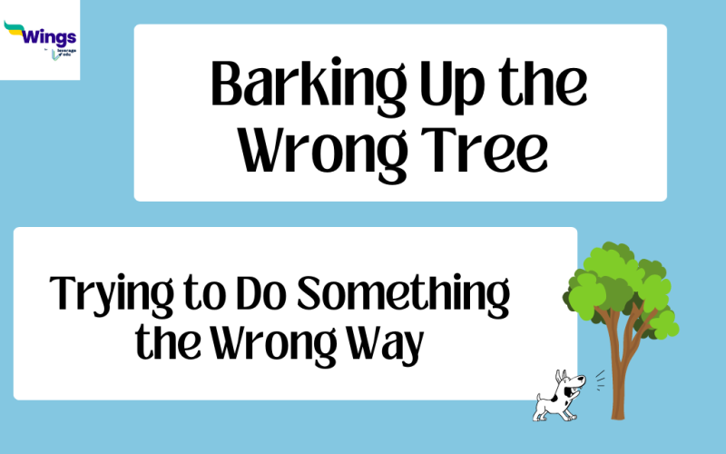 Barking up the wrong tree meaning