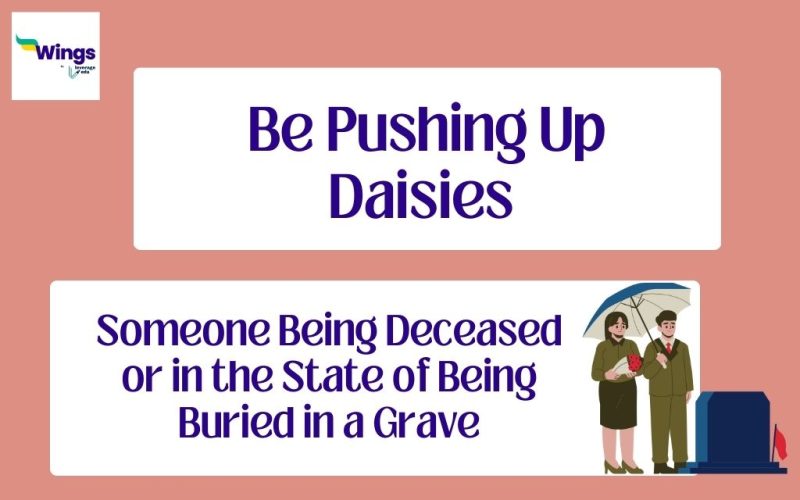 Be-Pushing-Up-Daisies