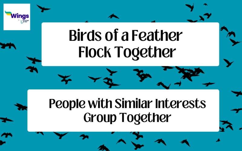 Birds-of-a-Feather-Flock-Together-Meaning