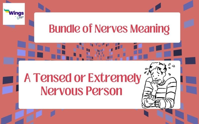 Bundle-of-Nerves-Meaning