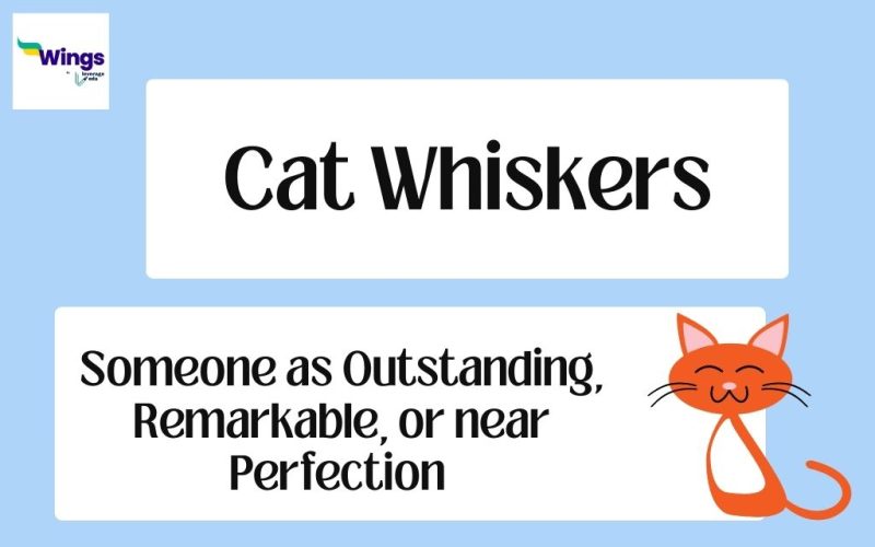 Cat-Whiskers