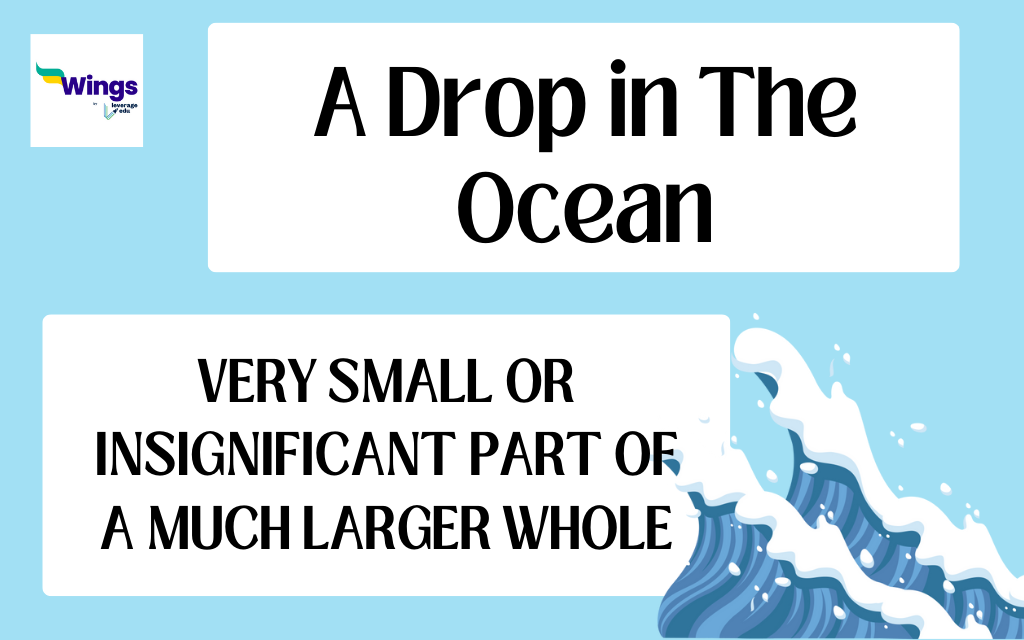 Idiom: A drop in the bucket (meaning & examples)