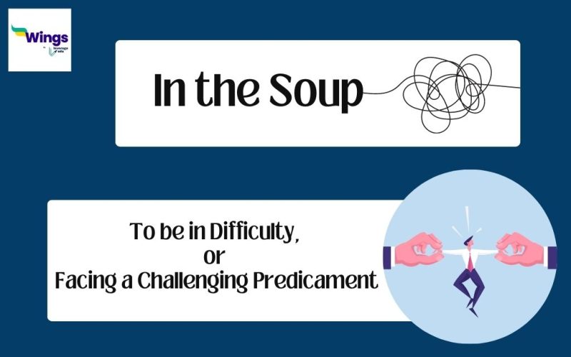 In-the-Soup-meaning
