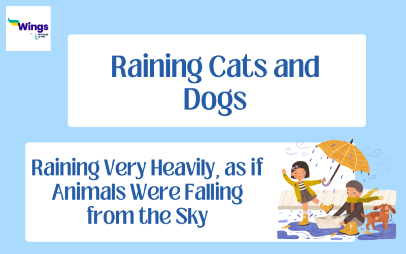 Raining-Cats-and-Dogs.