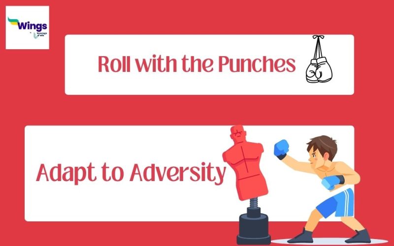 Roll-with-the-Punches-Meaning