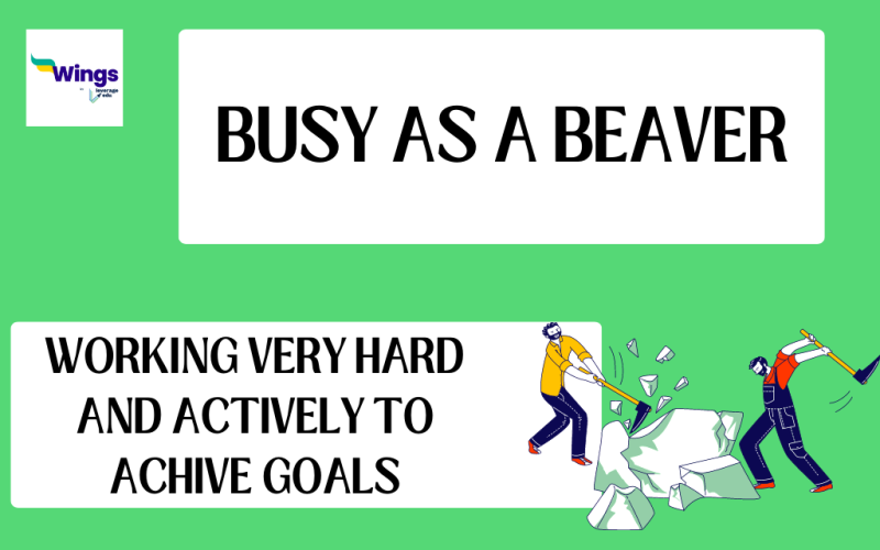 busy as a beaver