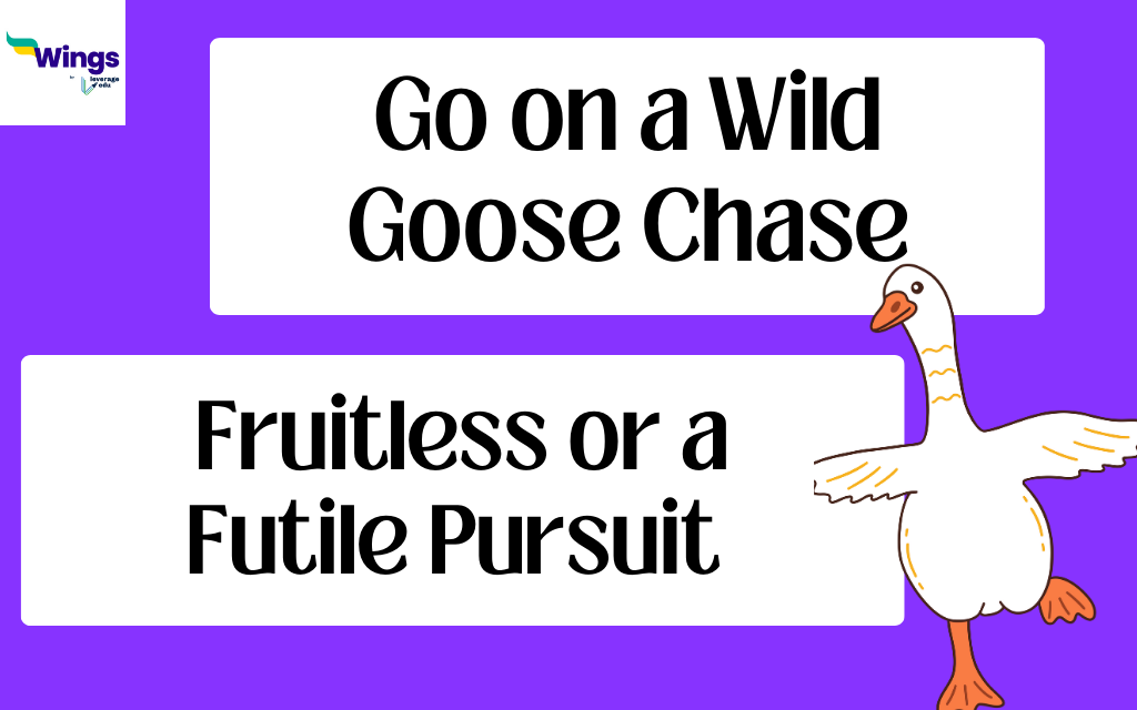 Definition & Meaning of Wild goose chase