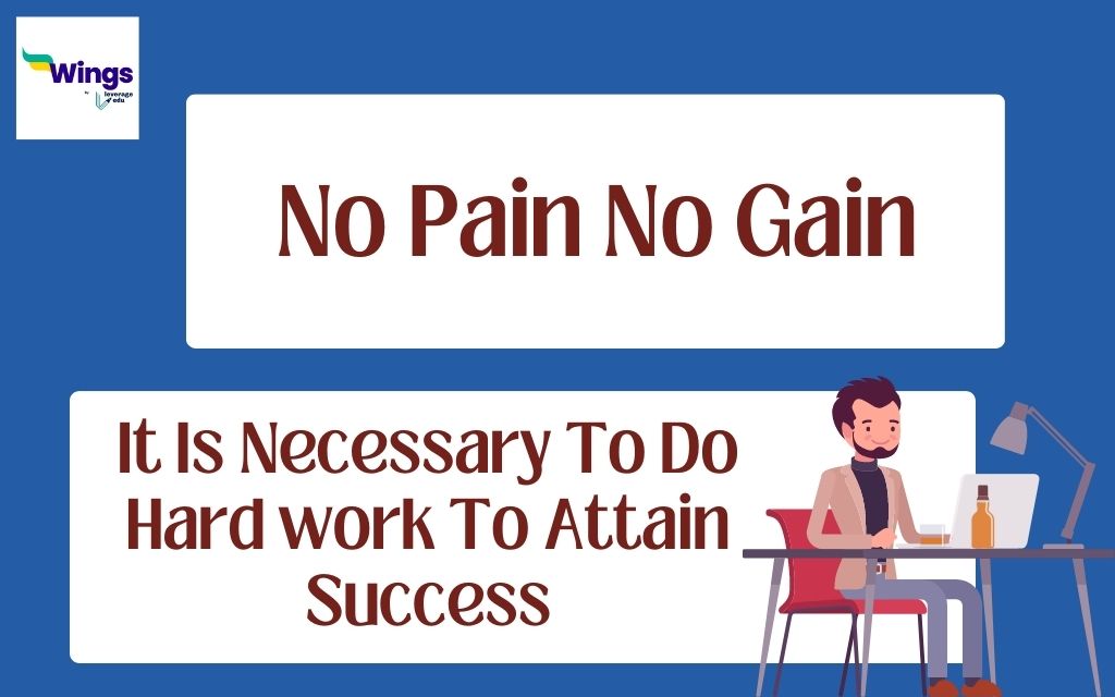 an essay on no pain no gain