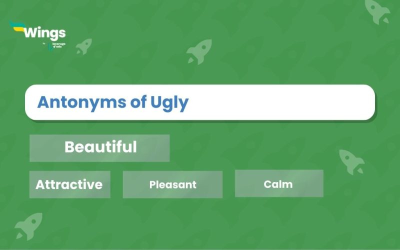 Antonyms-of-Ugly