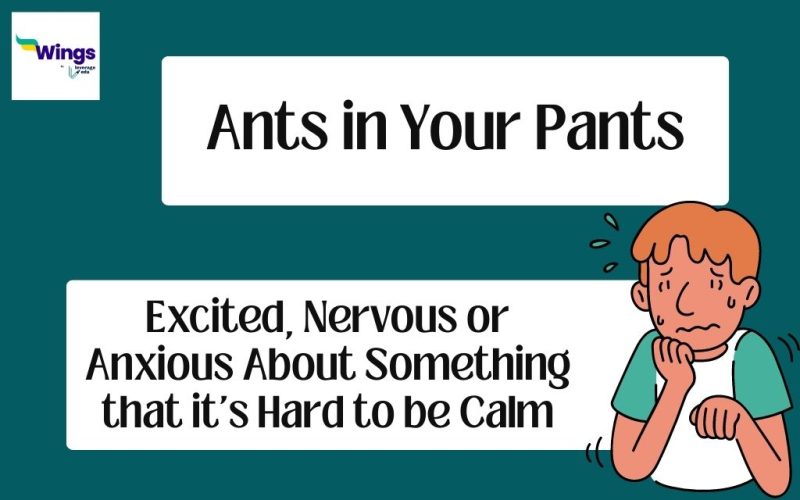 Ants in Your Pants