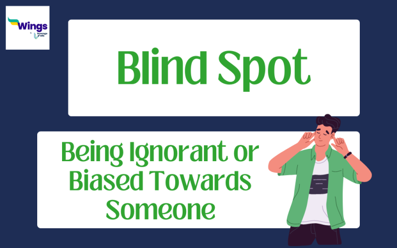 Blind Spots Meaning